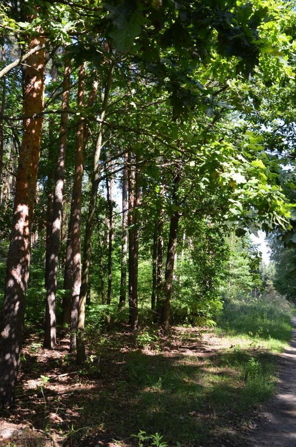 Agroturystyka Czekaj Przy Suntago Lublinow المظهر الخارجي الصورة